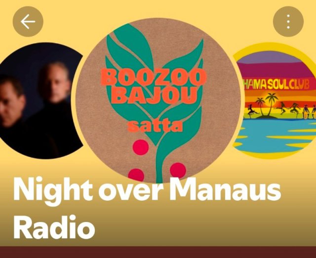 App-Ansicht einer Musik-Playlist f&uuml;r Lounge-Musik mit Albumcovern von Boozoo Bajou und Mana Soul Club